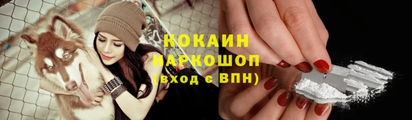 шишки Абдулино