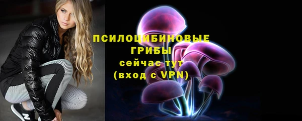 шишки Абдулино