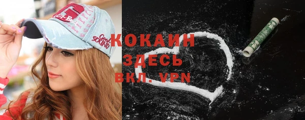 шишки Абдулино