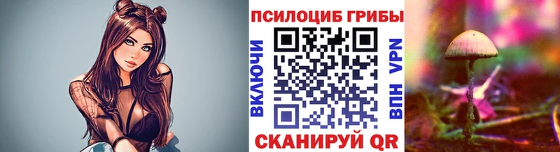 Псилоцибиновые грибы Psilocybine cubensis  где можно купить наркотик  Питкяранта 